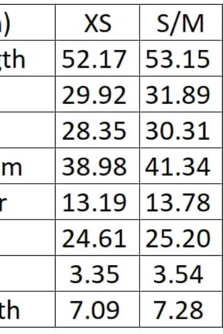 Carmen Sheer Cheetah Dress - SALE