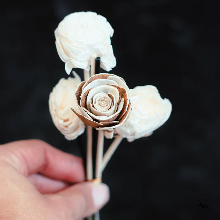 Natural Reed Diffusers in Apple Maple Bourbon