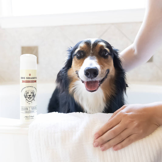Mix.o.logie Sweet Almond | Soothing Dog Shampoo