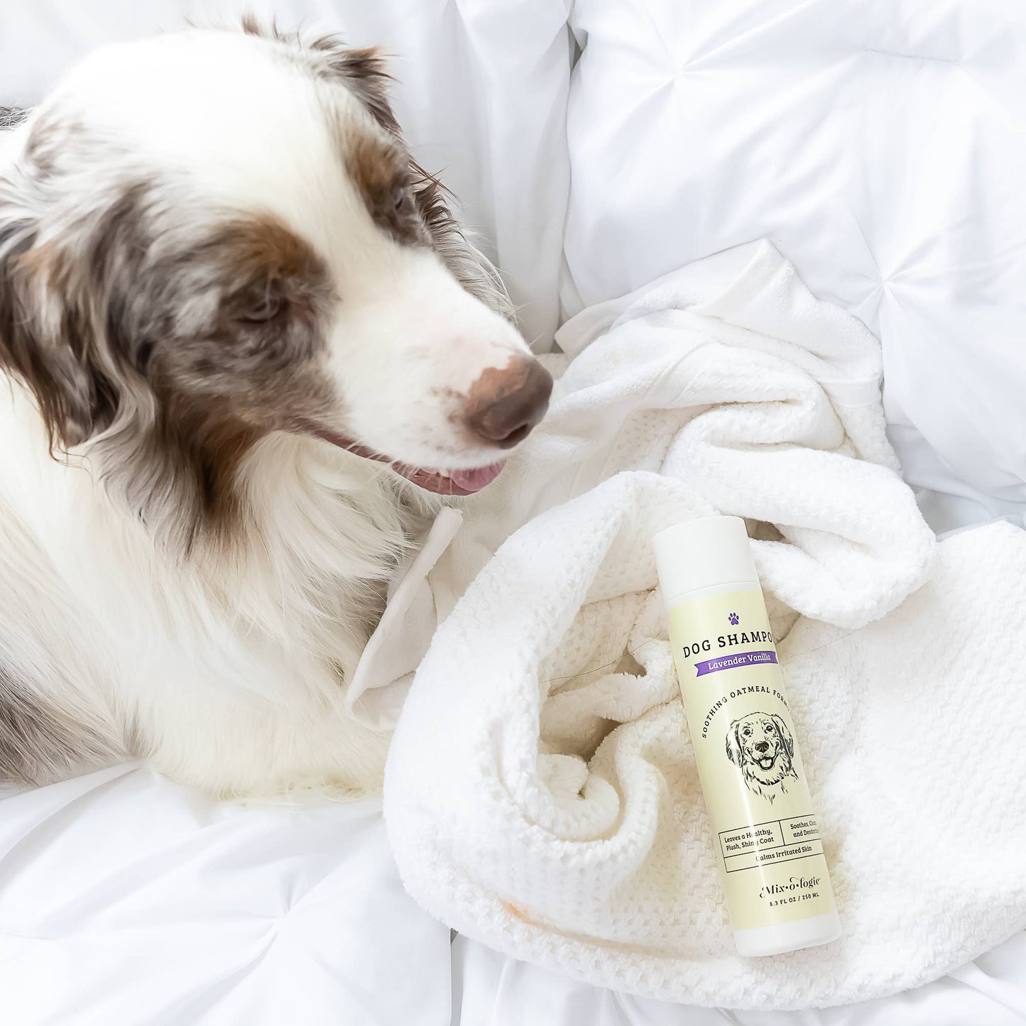 Mix.o.logie Lavender Vanilla | Soothing Dog Shampoo