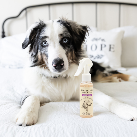 Mix.o.logie Lavender Vanilla | Waterless Dog Wash